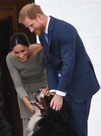 Meghan Markle, le foto della moglie del Principe 1