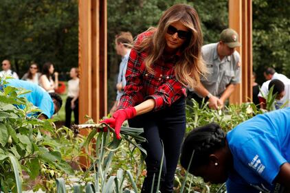Melania Trump come Michelle: fa l'orto alla Casa Bianca 6