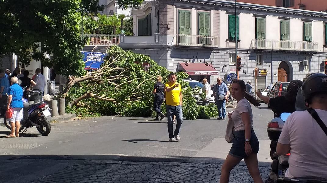 Paura a Napoli, albero crolla in strada: ferito ragazzo