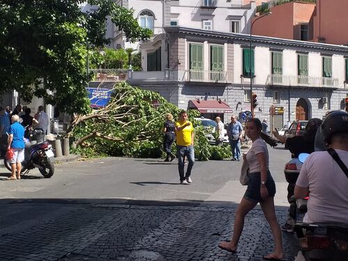 Paura a Napoli, albero crolla in strada: ferito ragazzo