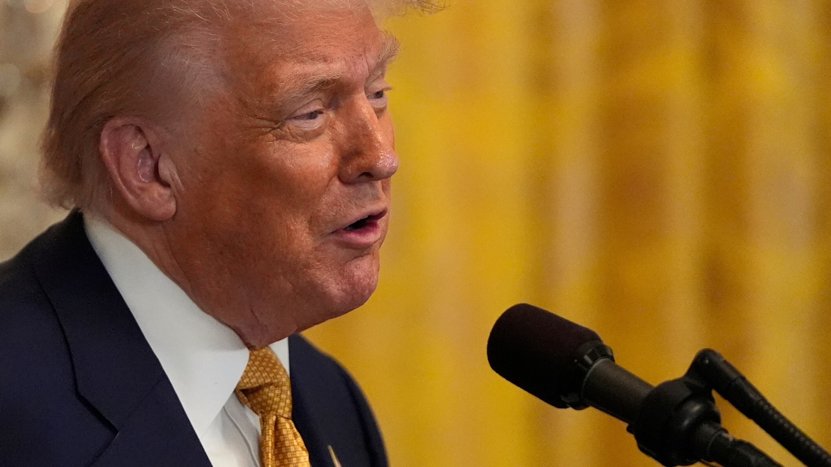 "Perseguite Kamala Harris, Beyoncé e Oprah Winfrey". Cosa c'è dietro la nuova crociata di Trump
