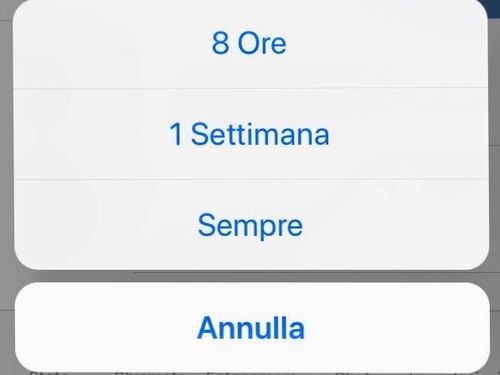 Whatsapp, ora potrete silenziare le chat "per sempre"