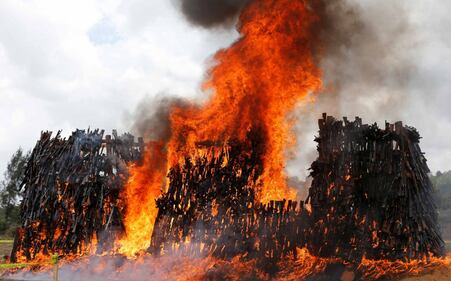In Kenya il maxi-rogo di armi per fermare il traffico illecito 10