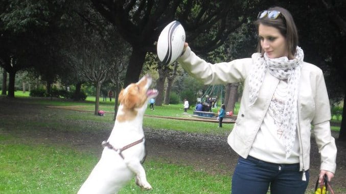 Foggia, tenta di salvare il suo cane e muore investita dal treno