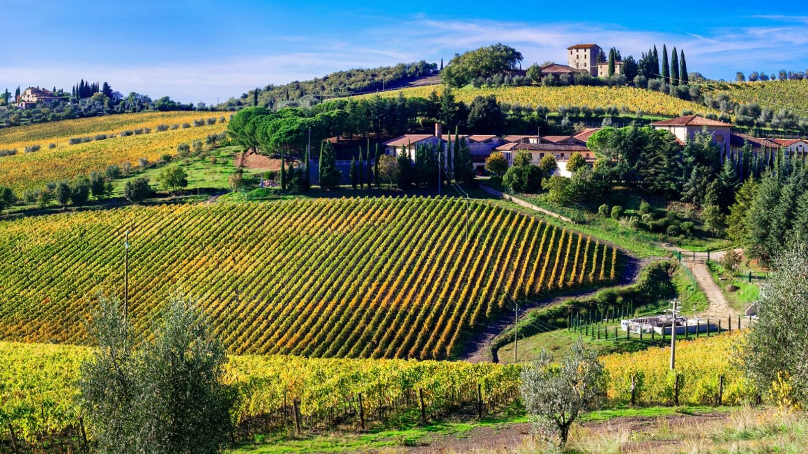 In arrivo il Brunello 2019. Ecco i dieci migliori assaggi