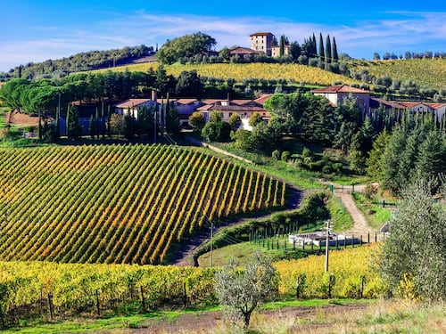 In arrivo il Brunello 2019. Ecco i dieci migliori assaggi