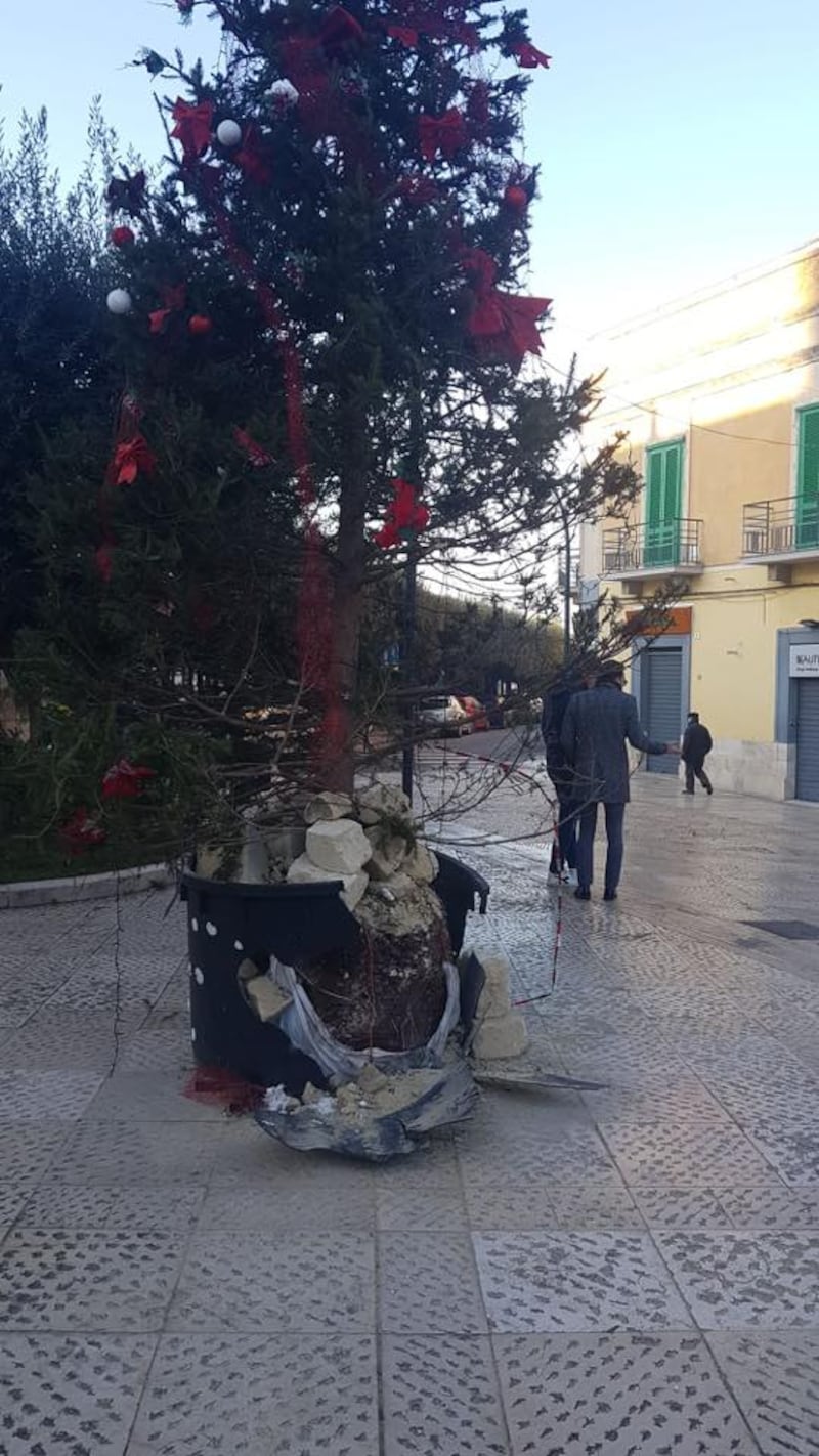 Gravina in Puglia, bomba sotto l'albero di Natale in piazza 2