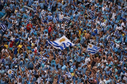 Tifosi (vip e non) sugli spalti  11