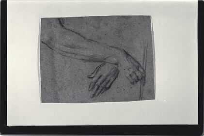 I presunti disegni di Michelangelo 8