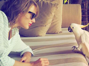 Demi Lovato e Taylor Swift su Instagram, foto 1