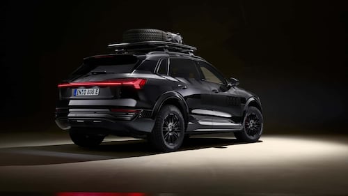 Audi Q8 e-tron edition Dakar, guarda tutte le foto 14