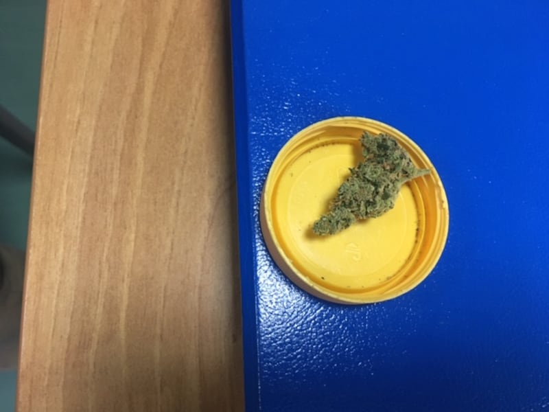 Puglia, le immagini dell'ambulatorio di cannabis terapia 4