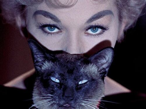 Commedia e fantasy con Kim Novak strega ed Harry Potter