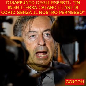 Ecco la satira del giorno. Disappunto degli esperti 1