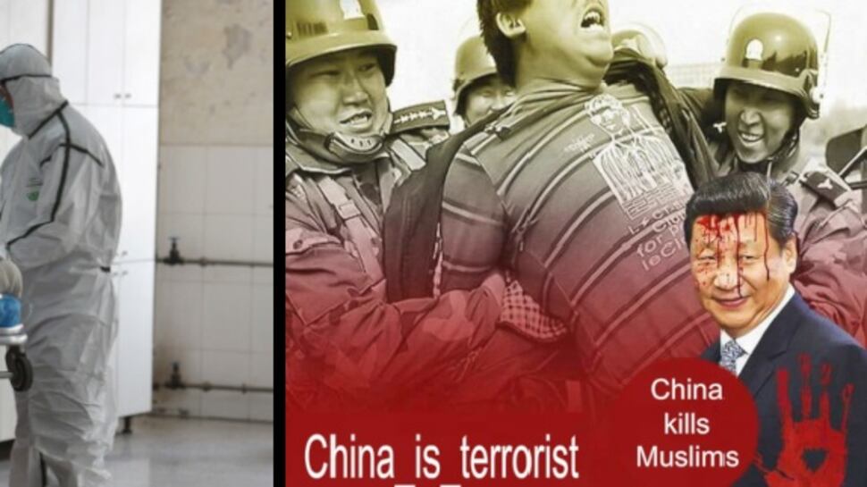 Coronavirus, gli islamici in festa: "Una punizione contro la Cina"