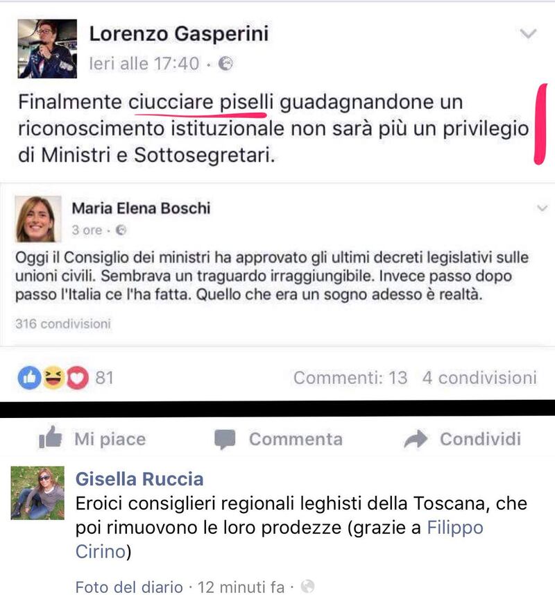 screen boschi-lega