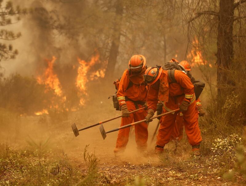 California divorata dalle fiamme. 400 case distrutte 18