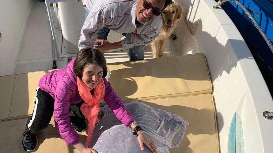 Puglia, tartaruga marina salvata da una bambina