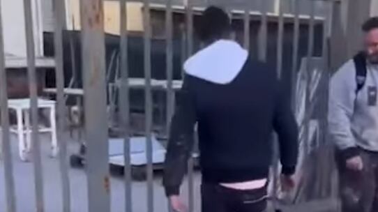 Eboli, giovani avvicinano il gatto e lo fanno volare in aria con un calcio