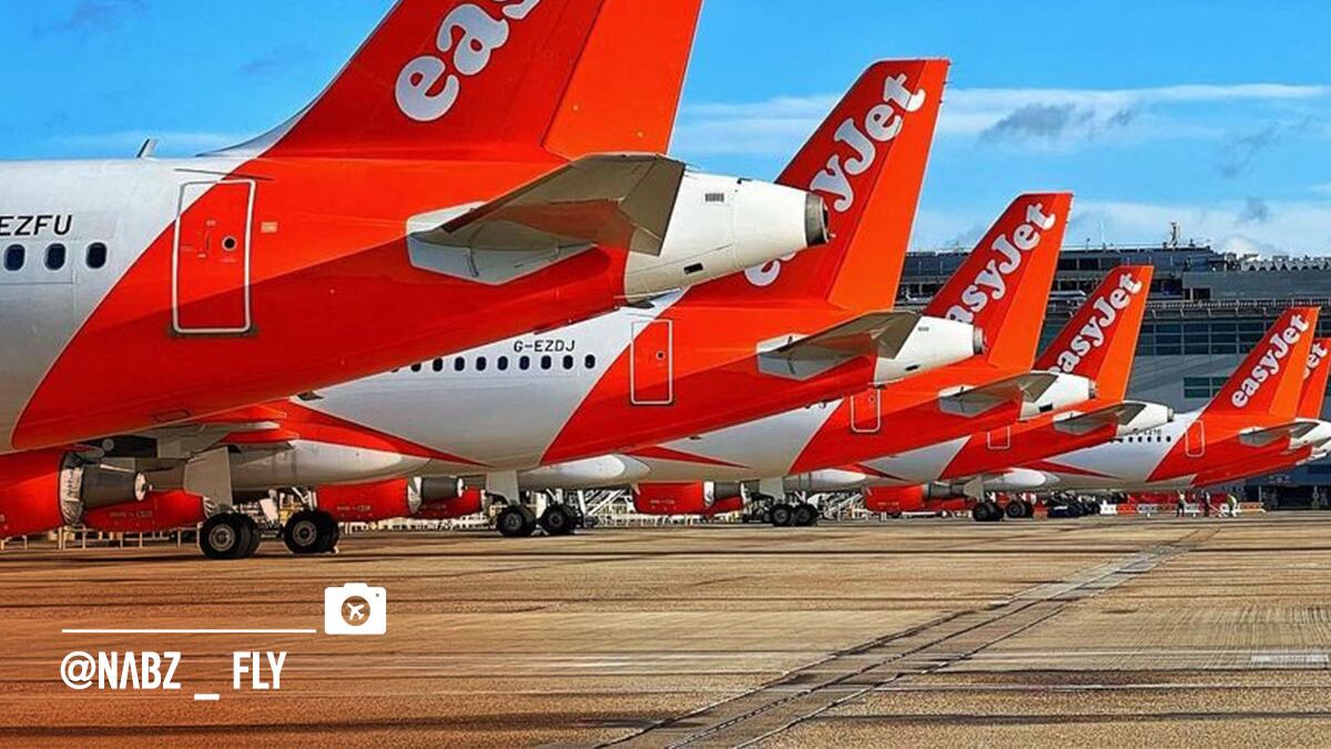 Il terminal 2 di Malpensa "pronto al decollo": nuovo look e nuovi voli