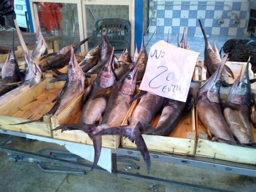 Roma, 1.235 euro per una cena di pesce