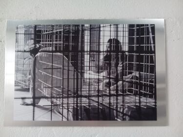 "Riscatti", la fotografia incontra gli ultimi 2