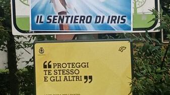 Massacrata dallo straniero, a Rovereto nasce il "sentiero di Iris"