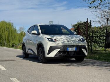 BYD Dolphin Surf, guarda tutte le foto 8