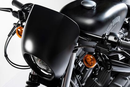 Harley-Davidson Iron 883 Special Edition S 11