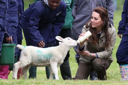 Kate dà il biberon agli agnellini 10