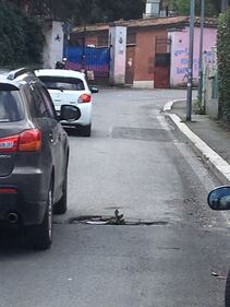Fiori nelle buche, la protesta nei municipi romani 3