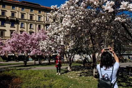 I giardini Renata Tibaldi in fiore a Milano  1