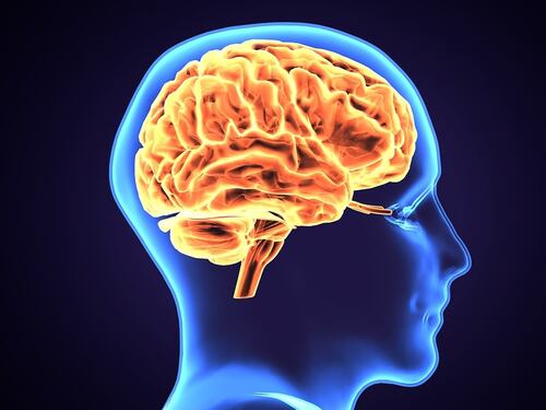 Mantenere un segreto fa bene al cervello: l’esperimento