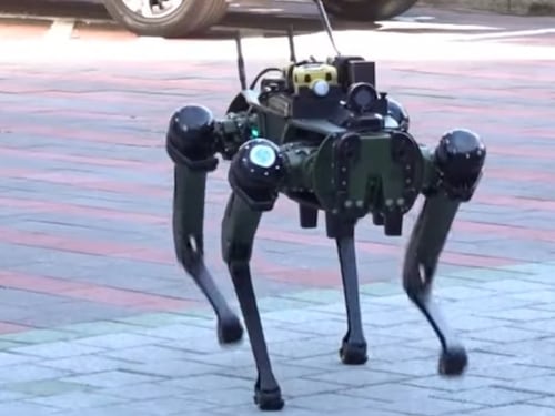 Cani robot per operazioni in prima linea: la svolta militare di Taiwan