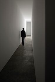 Carsten Höller dal 7 aprile a Milano negli spazi di Pirelli HangarBicocca 8