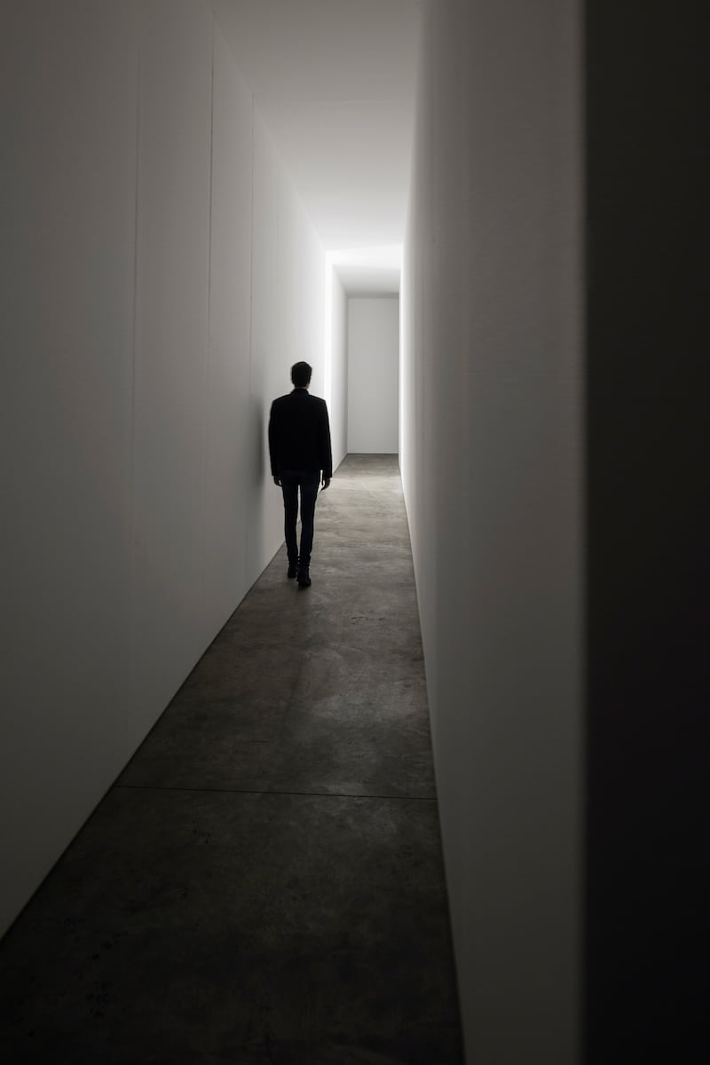 Carsten Höller dal 7 aprile a Milano negli spazi di Pirelli HangarBicocca 8