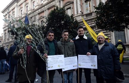 La protesta della Coldiretti davanti al ministero dell'Agricoltura 4