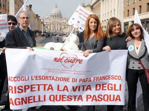 Gli animalisti a S. Pietro: "No alla strage degli agnelli per Pasqua"