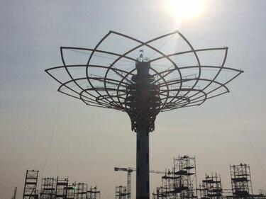 L'albero di Expo mette la chioma 7