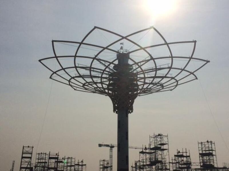 L'albero di Expo mette la chioma 7