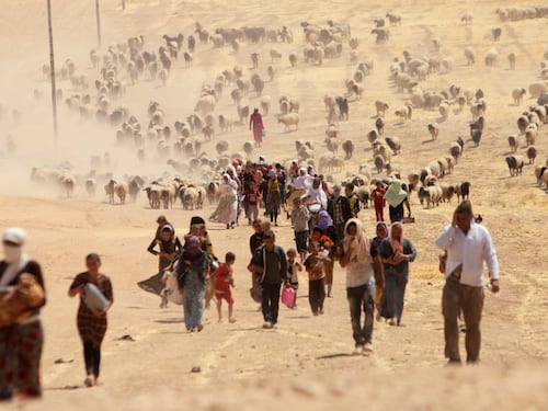 Le preoccupazioni per il 2016: sempre più guerre e profughi