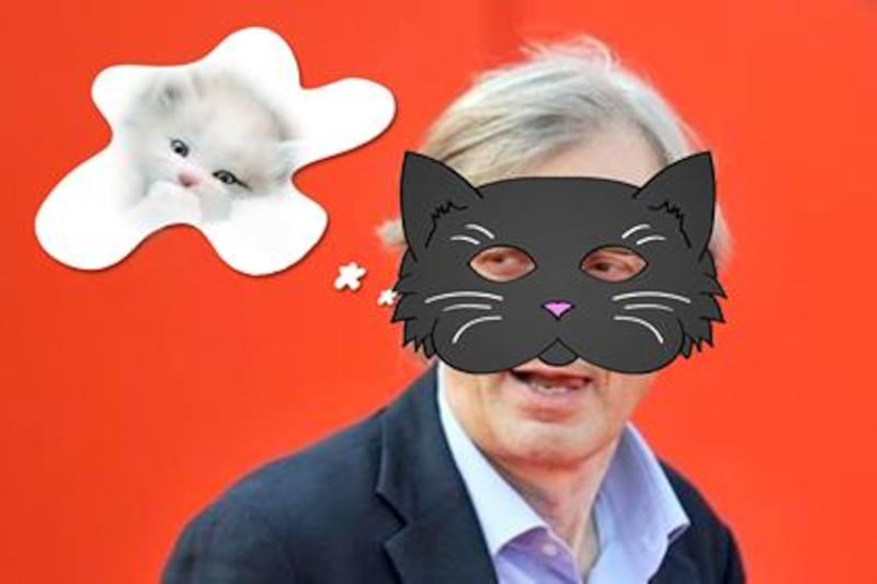 Vittorio Sgarbi invaso da immagini di gatti 4