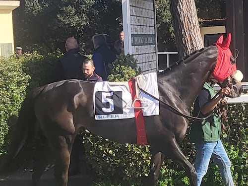 Ultime corse a San Siro ed una certezza: l'Italia del galoppo c'è