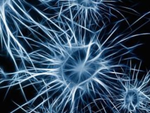 Alzheimer, scoperta molecola che "ringiovanisce" il cervello