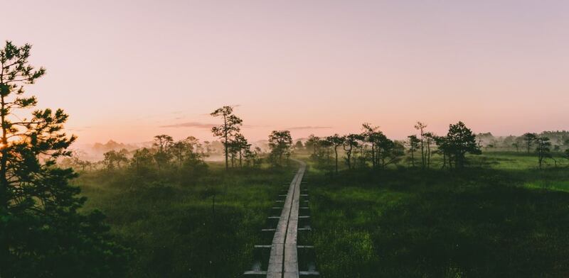 Estonia verde