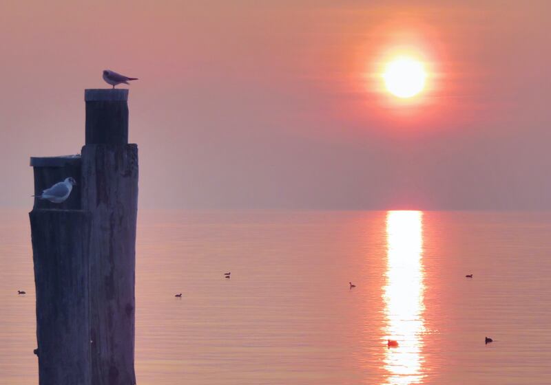 Lazise