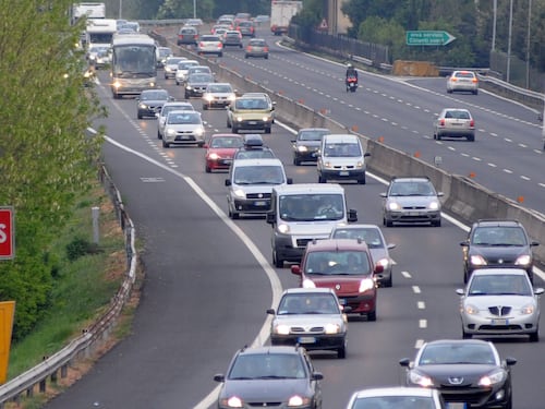 Sette cani morti sull’Autostrada del Brennero: erano stipati tra gabbie e bagagli. Biancofiore: “Perseguire ogni responsabilità”