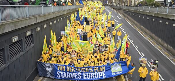 Coldiretti in piazza a Bruxelles contro i tagli alla Pac: "Così si mette a rischio il cibo europeo" 2