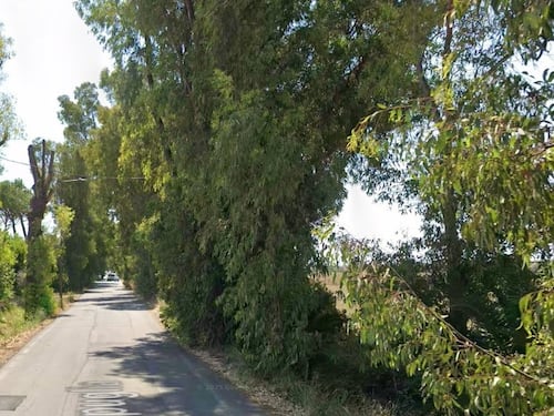 Tragedia a Fiumicino, donna investita mentre attraversa la strada col figlio: morta sul colpo