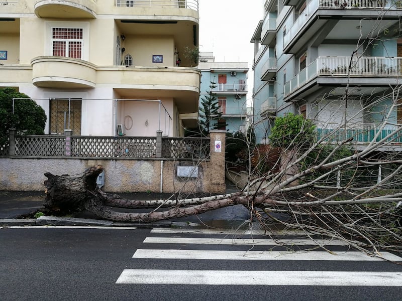 Maltempo a Roma, un ramo cade su un'auto e ferisce una donna 3